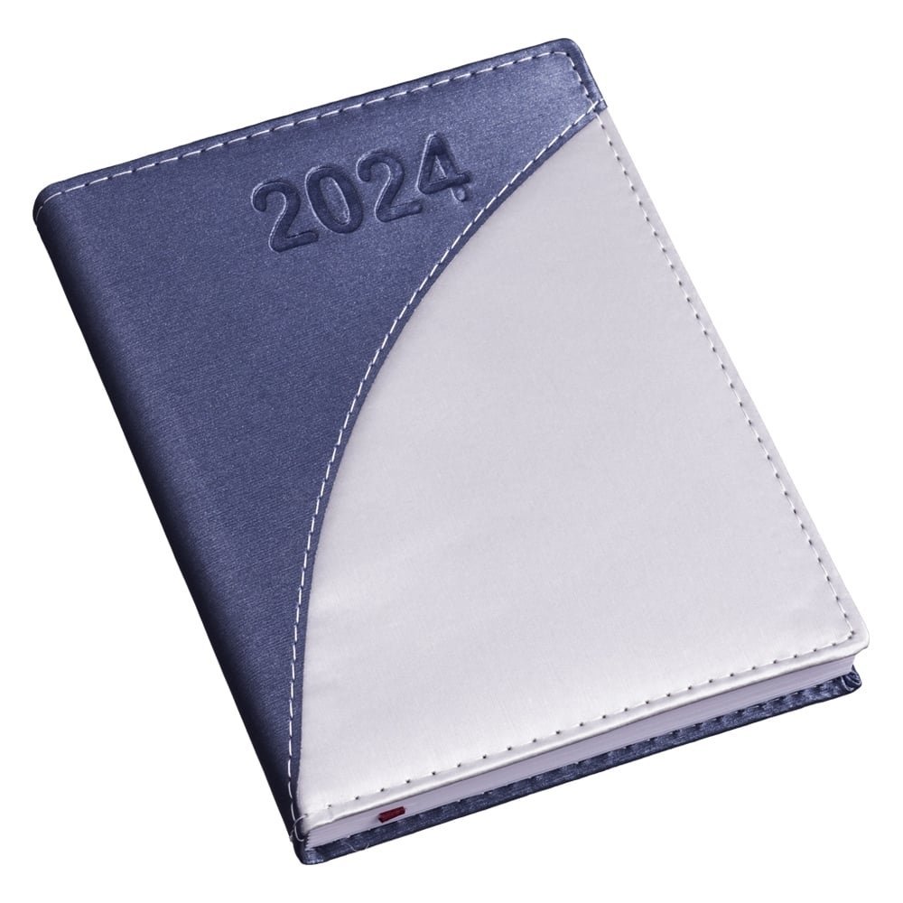 Agenda Prata e Azul Diária 2024 Personalizado